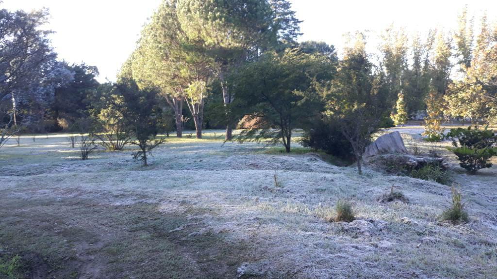 IMG-20200506-WA0000