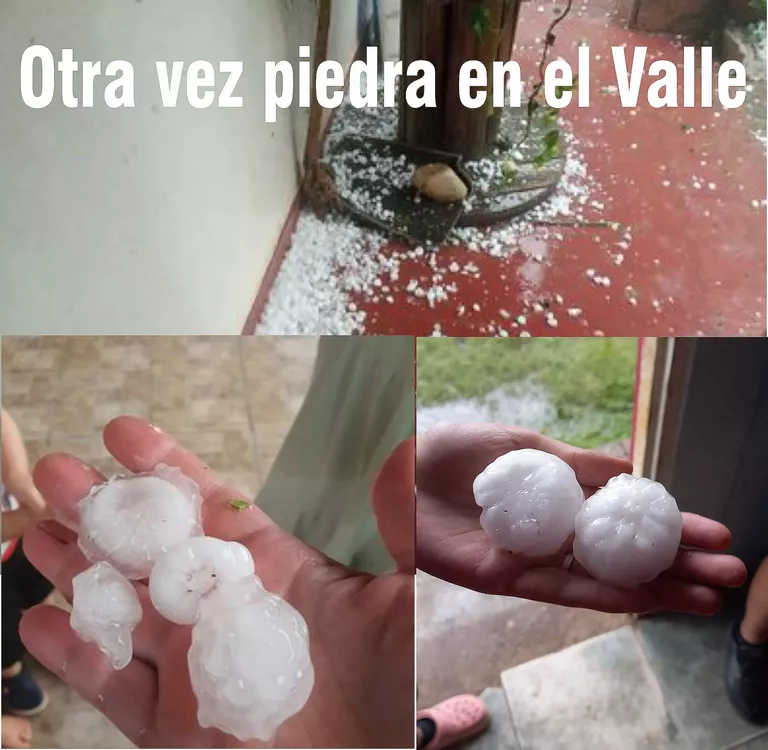 VARIOS