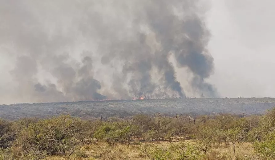 incendios
