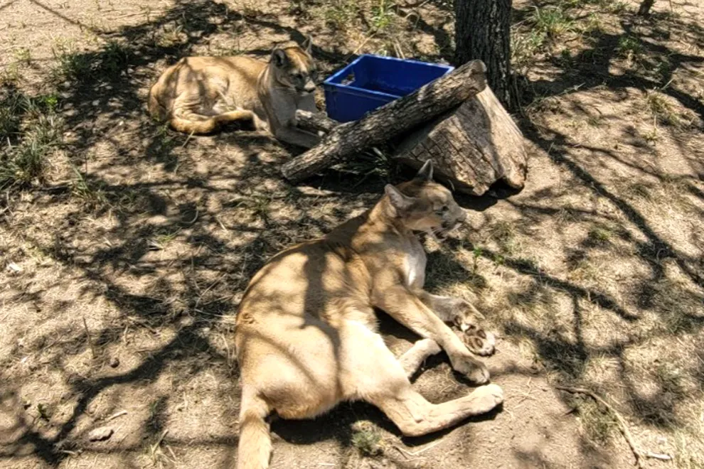 WhatsApp-Image-2023-11-22-at-3.13.28-PM