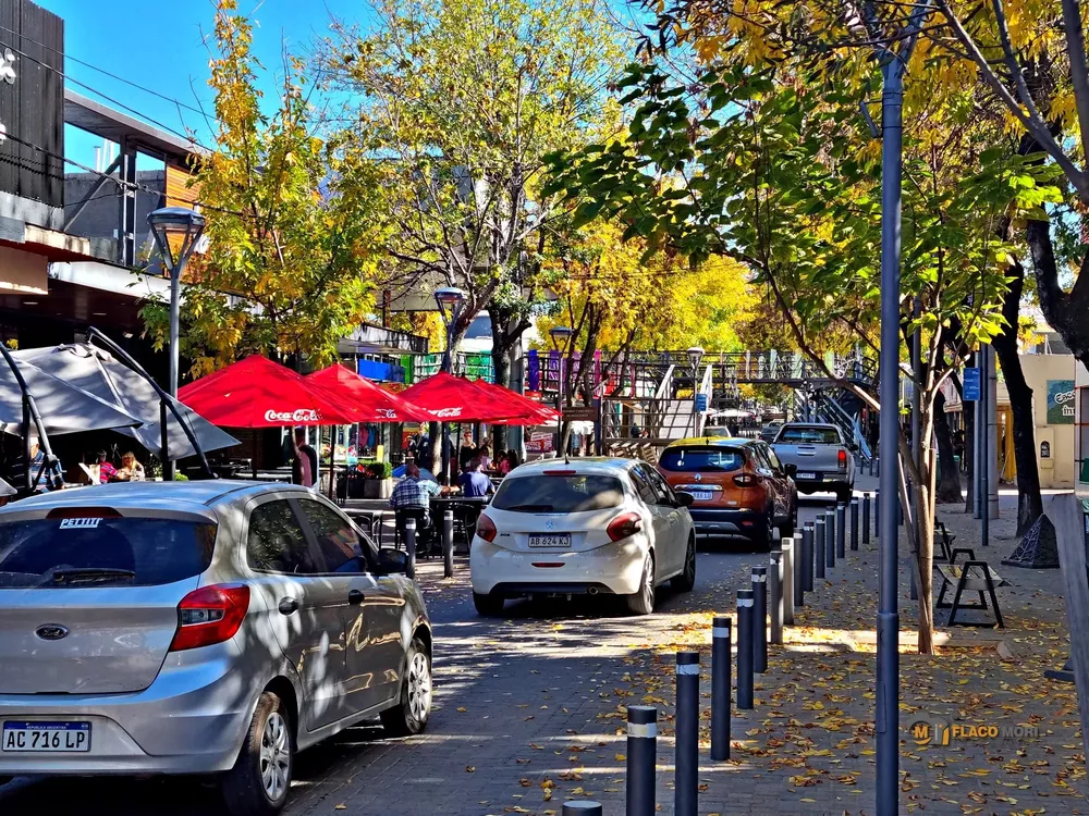 278087640_5069983463067827_4276884152925306911_n