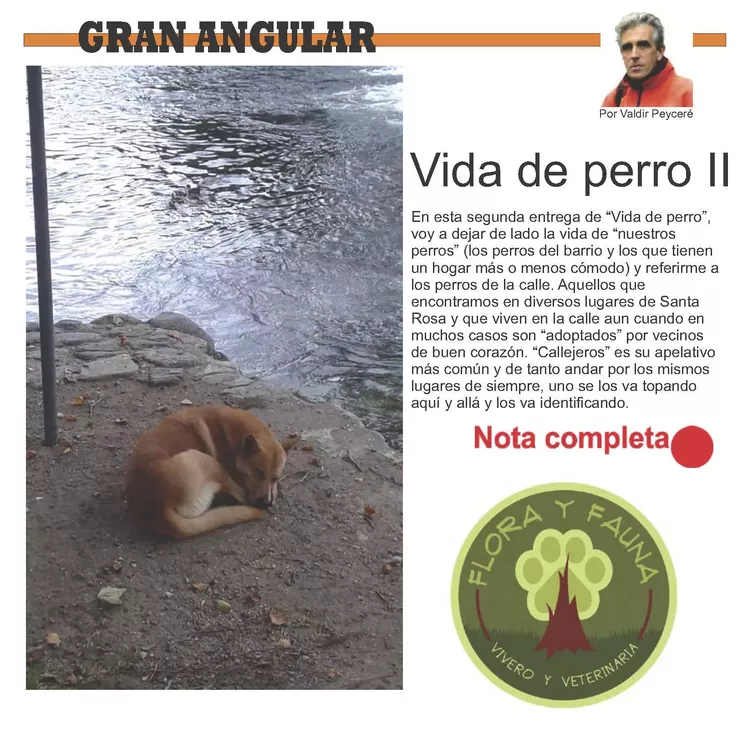 1_Página_44