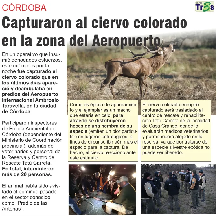 PROVINCIA