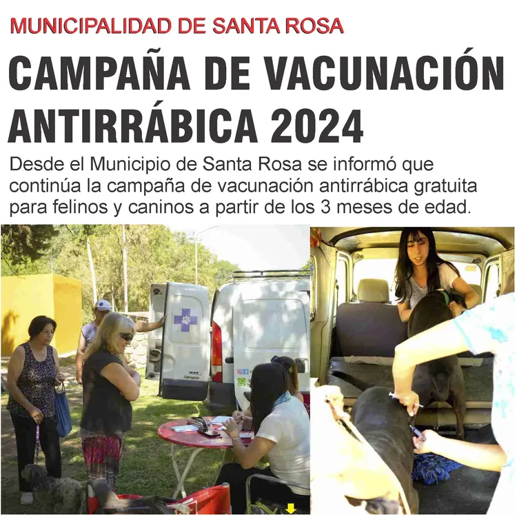 N° 1121 lunes 18 de noviembre_Página_06