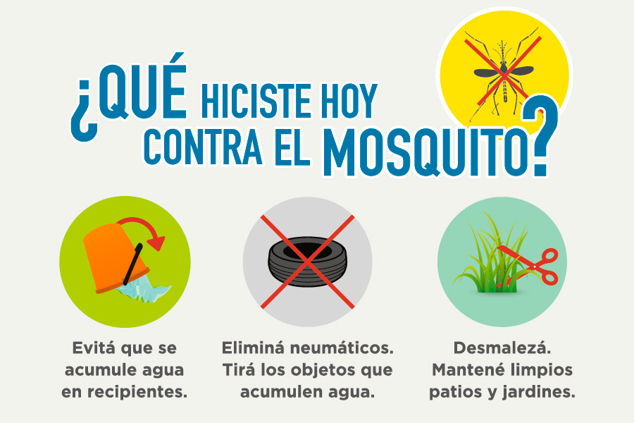 Dengue2alas2