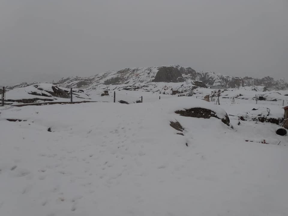 118151539_1752861431520948_7518673510830556552_n