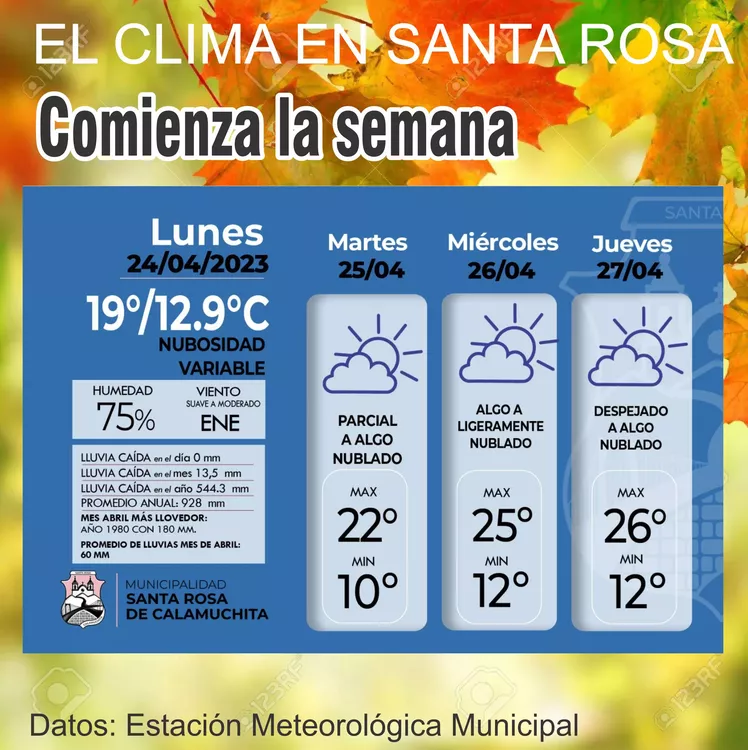 WhatsApp Image 2023-04-24 at 08.42.32