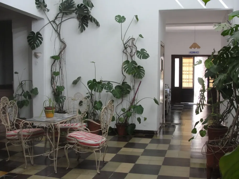 WhatsApp Image 2024-03-27 at 13.08.14