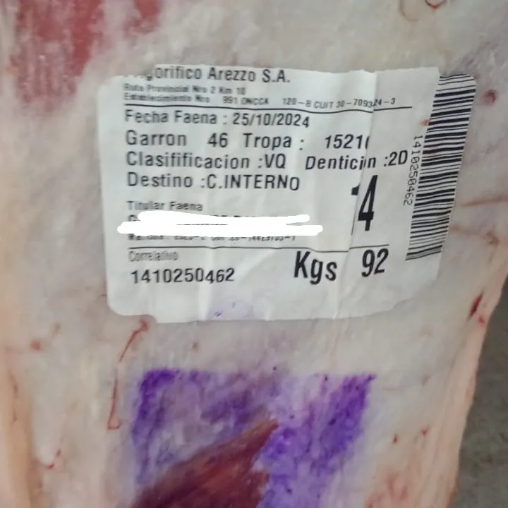 465889157_978378297663032_756453922172191960_n