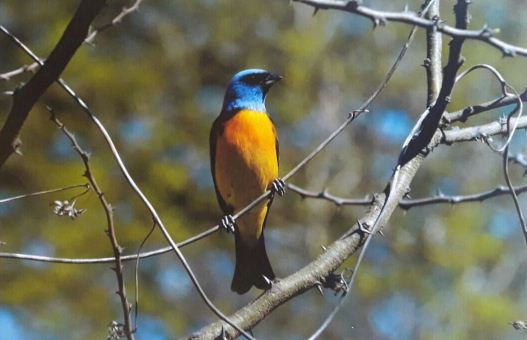 IMG-20171018-WA0029