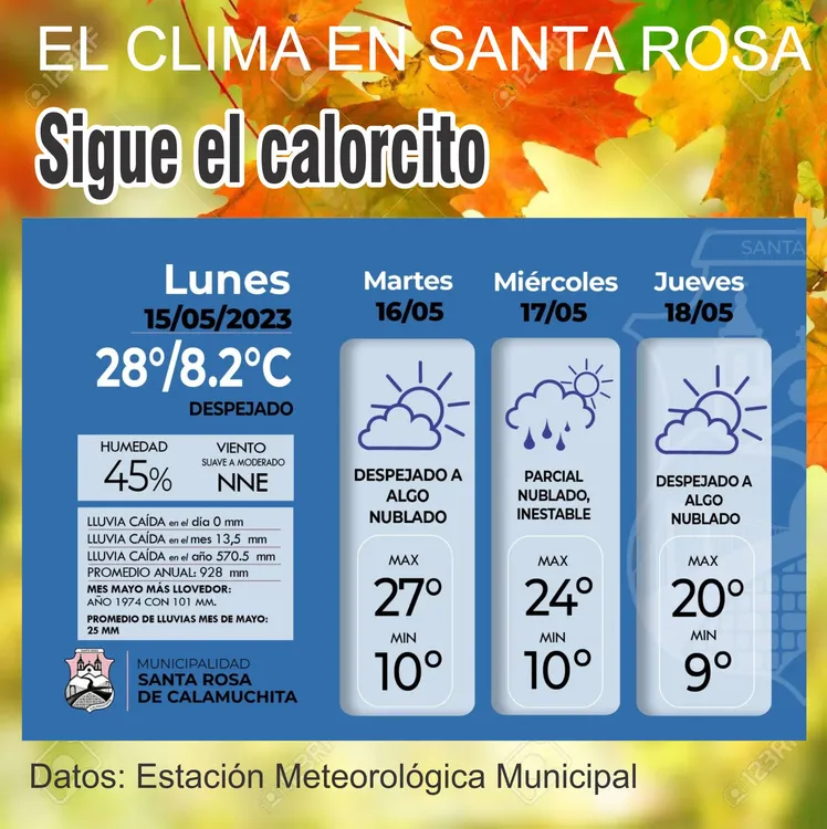 WhatsApp Image 2023-05-15 at 10.08.23