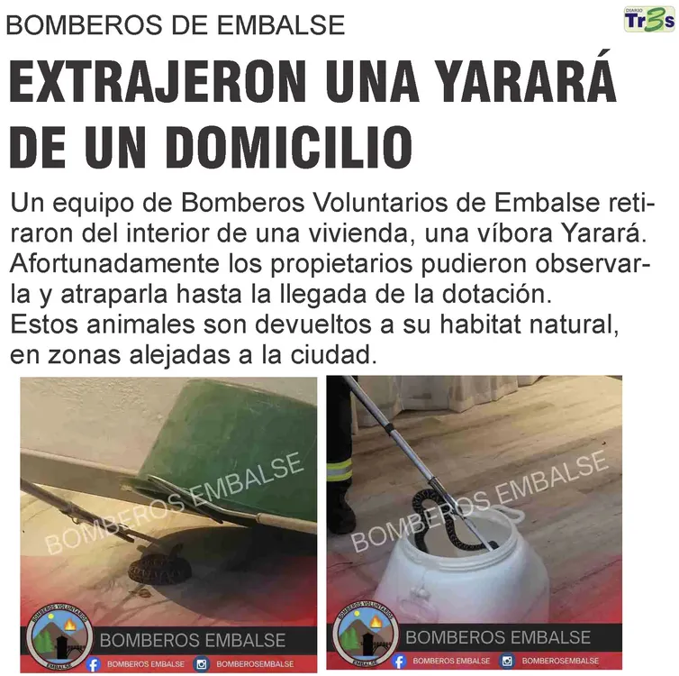 N°1160 viernes 28 de febrero_Página_59