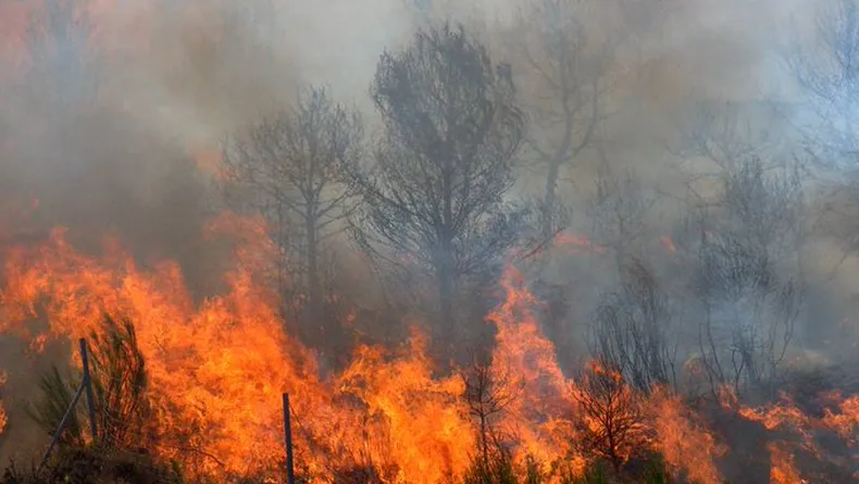 avanza-fuego-bosques-nativos-patagonicos-del-sur-argentina