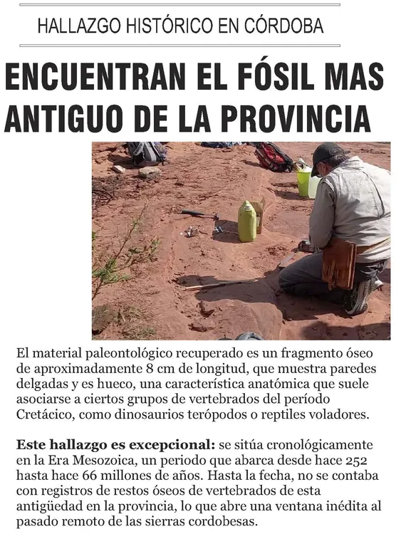 N° 1249 viernes 19 de diciembre_Página_34