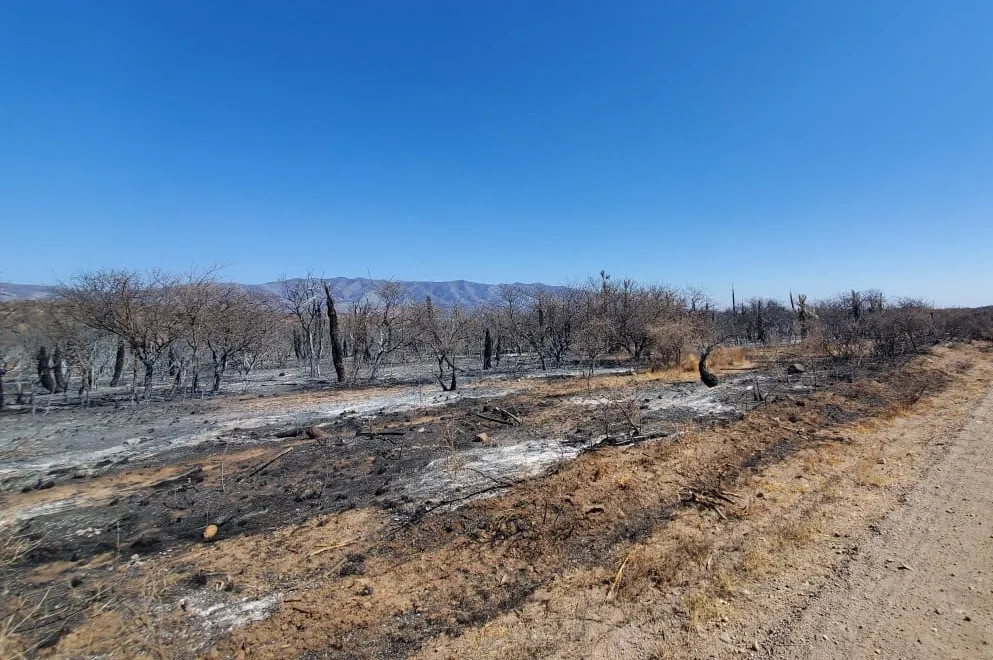 incendios-para-web