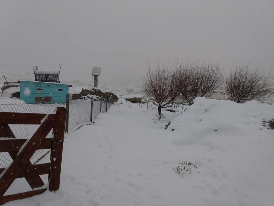 118231155_1752861468187611_5338823866399287969_n