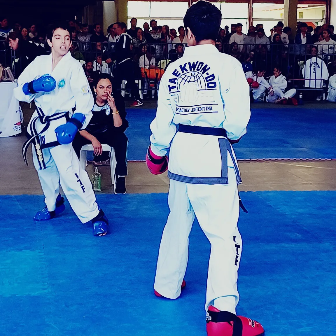 459908217_936731051827757_8774556719470739803_n