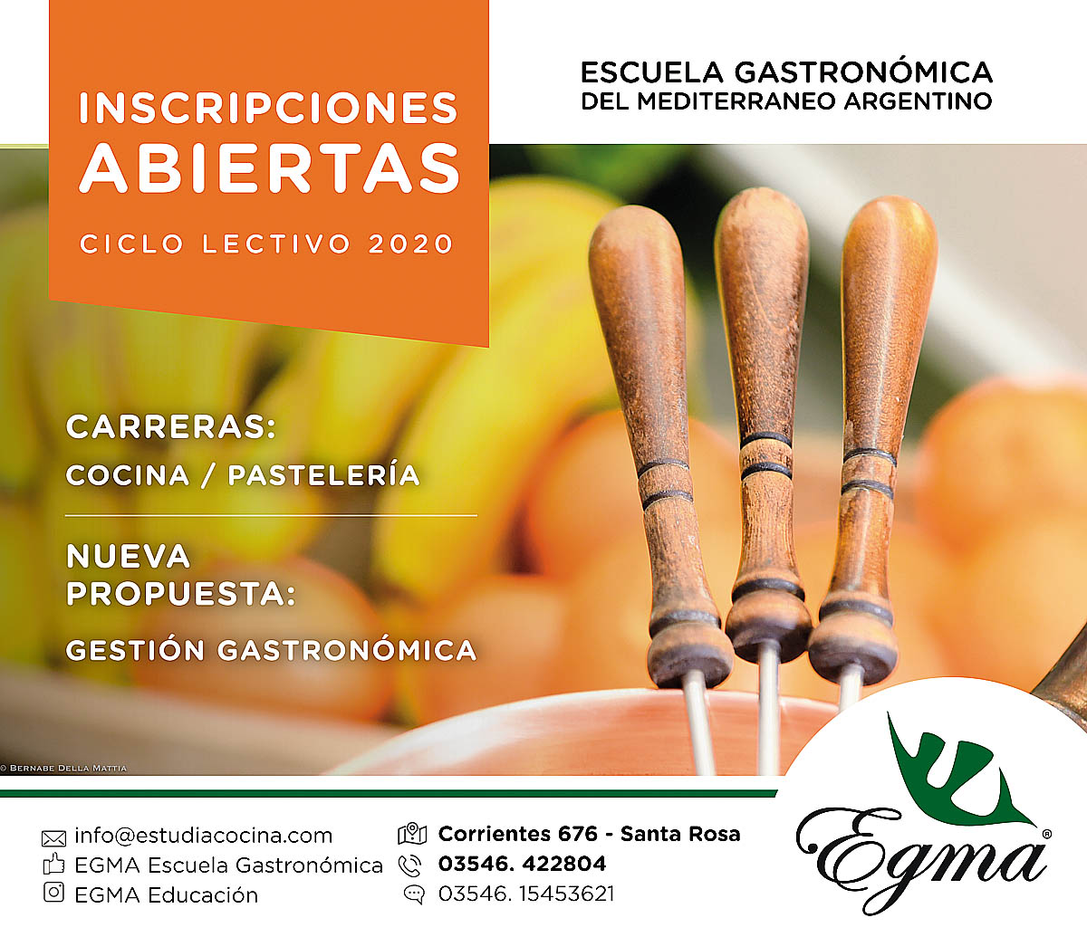 RevistaEgma-01 (1)