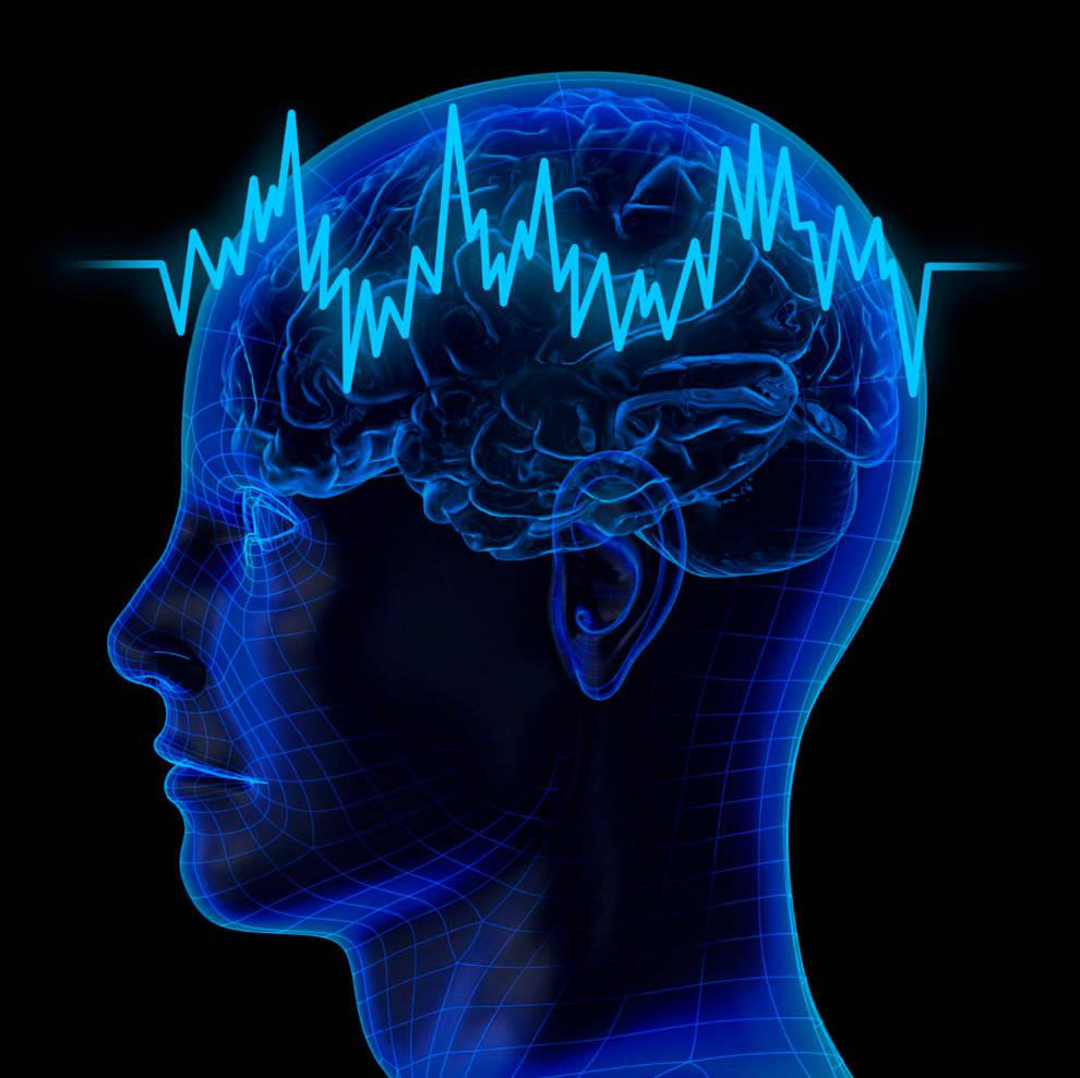 _cerebro_5fb89092