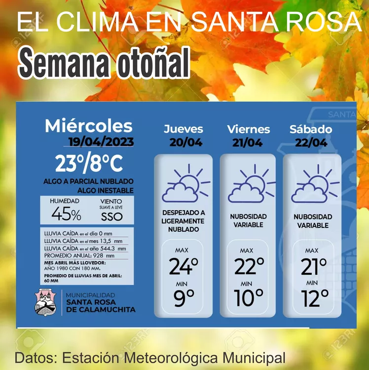 WhatsApp Image 2023-04-19 at 08.25.14