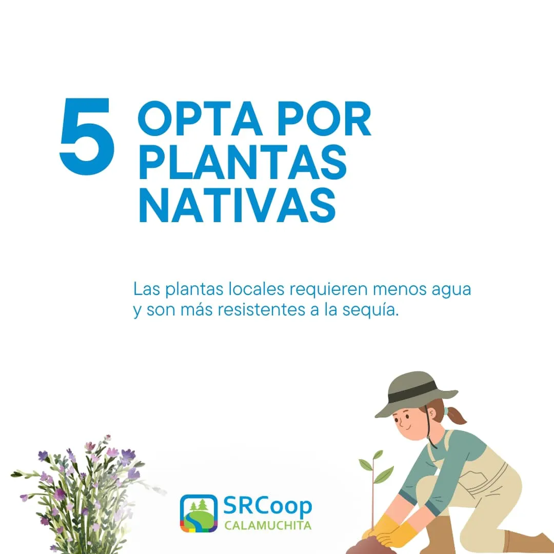 461948358_839019195055294_461168330661379325_n