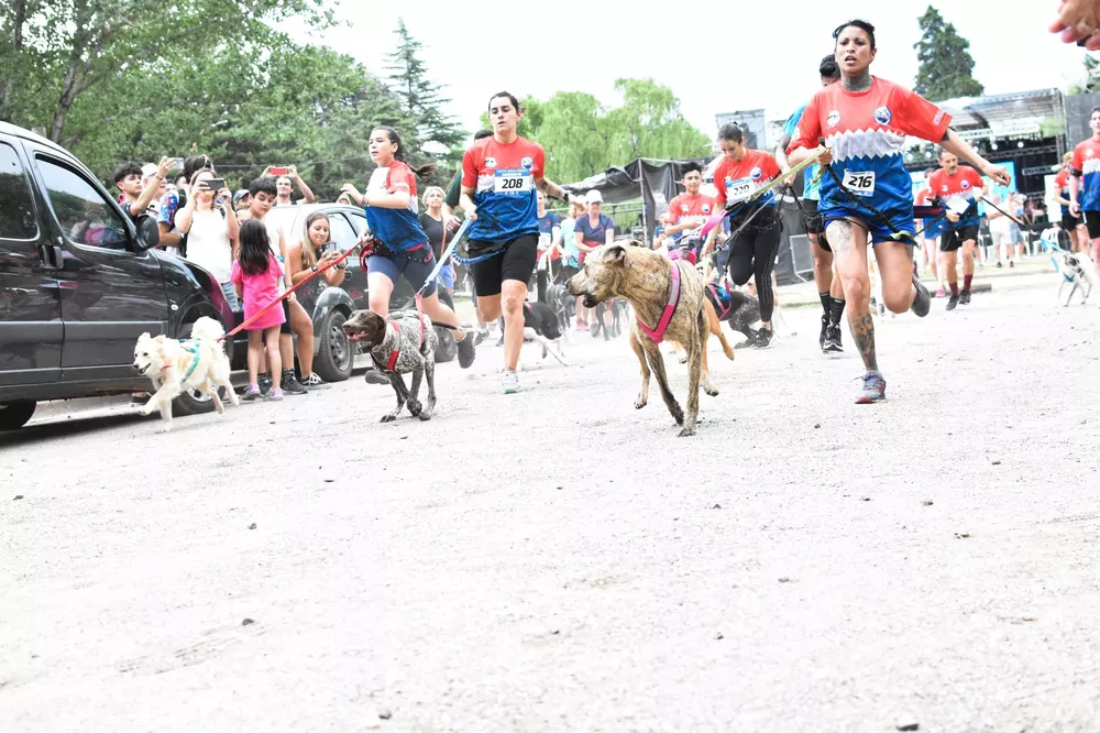 319499787_525606319606901_7071031702227970735_n