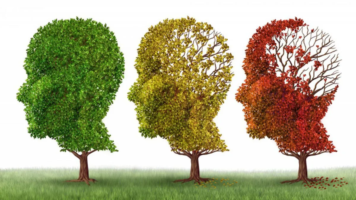 Alzheimer-66ev0-pyrt5s2leehyfht7iy1ix25186qqyjno0b7x4xkeam