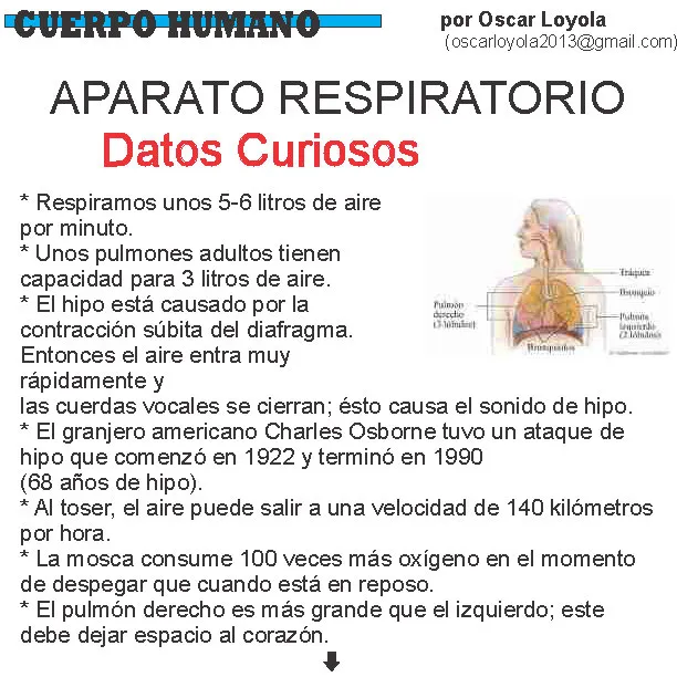 N° 1105 viernes 11 de octubre_Página_34