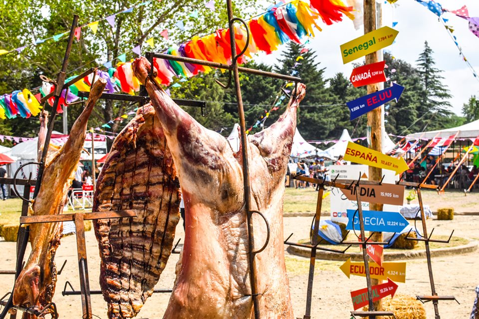 72303448_2740620322655401_2037700684731645952_n