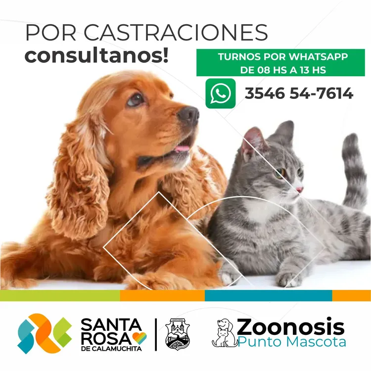 460500884_939779561522906_5434366821884437641_n