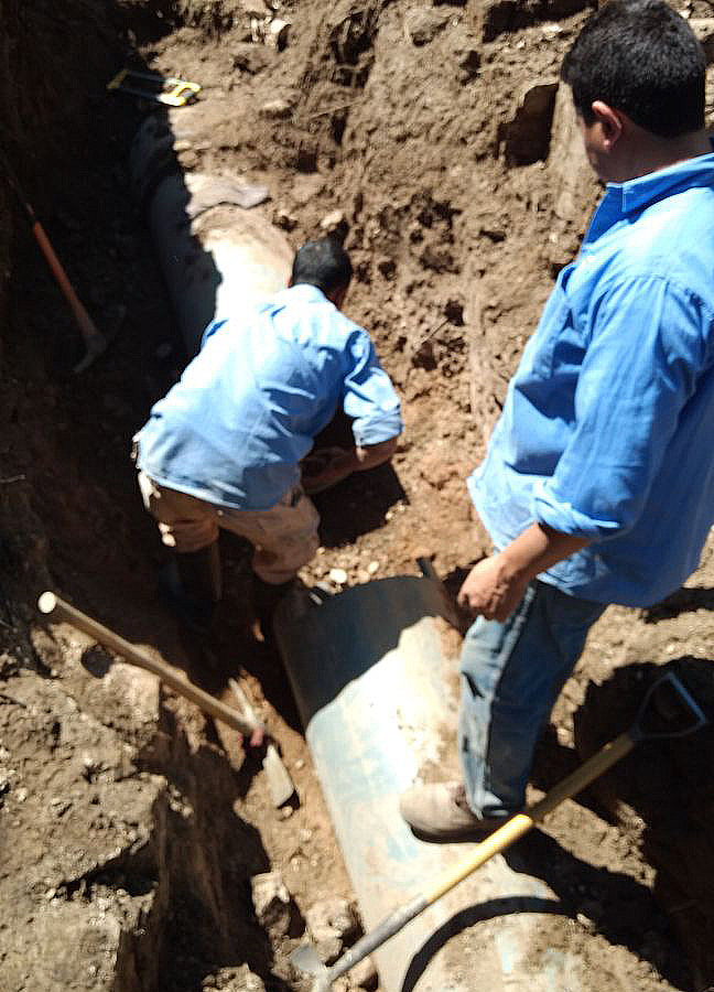 cd1218e6-b5c5-48fd-9a74-226c9c892f42