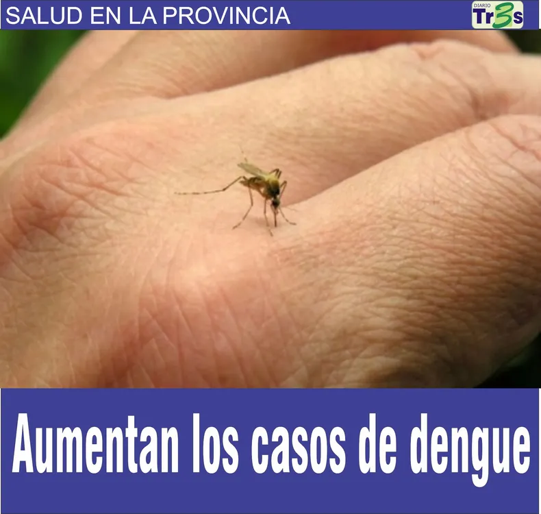 PROVINCIA