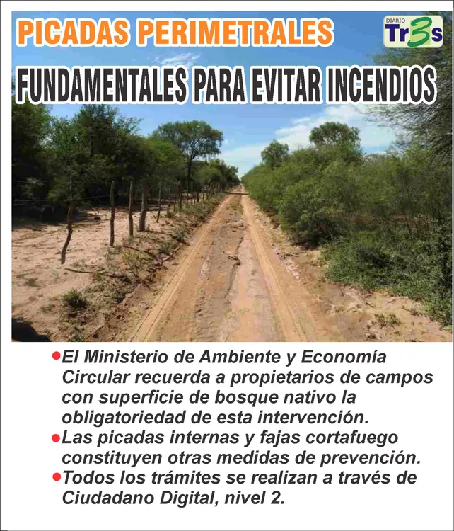 Sin título-1