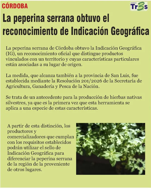 N° 1311 sábado 24 de octubre_Página_52