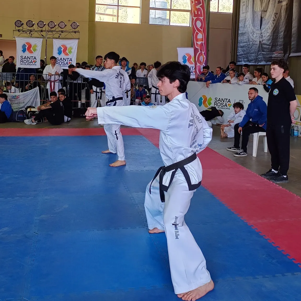 460007884_936730721827790_5635604075036565106_n