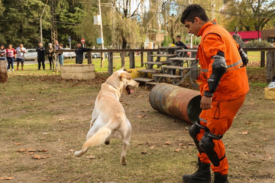 61754263_10214733140667458_4456802136159682560_n