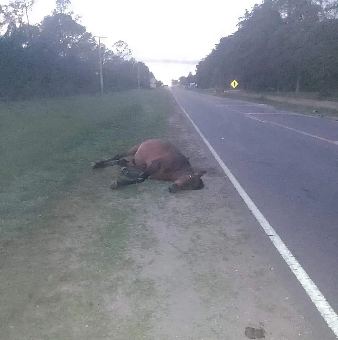 464007354_2702575173284412_3164721583381780895_n