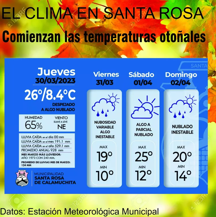 WhatsApp Image 2023-03-30 at 08.40.27