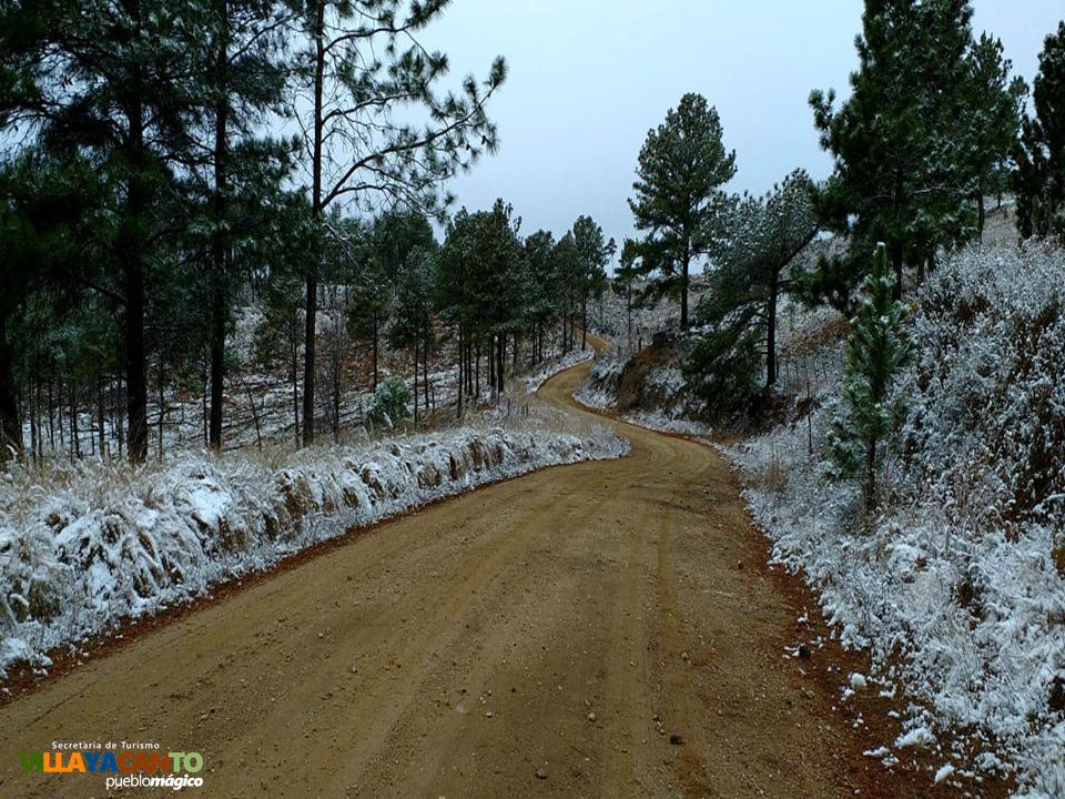 WhatsApp Image 2020-08-20 at 14.25.21