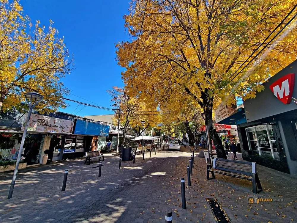 277743255_5069984139734426_5208706634153594422_n