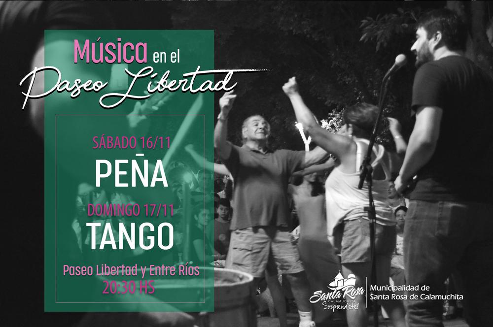 paseo libertad flyer NOVIEMBRE