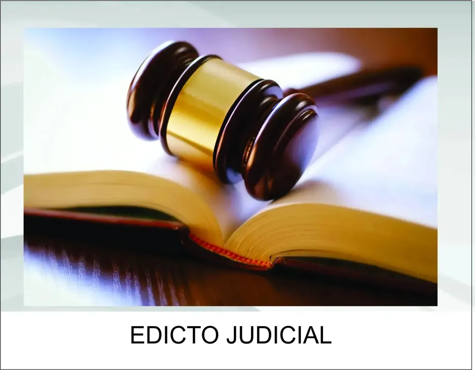Sin título-1